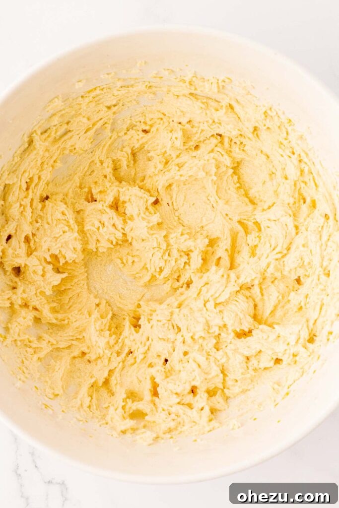 Perfect Chocolate Chip Cookies With No Brown Sugar 8 The smooth, well-combined butter, sugar, and egg mixture in a mixing bowl