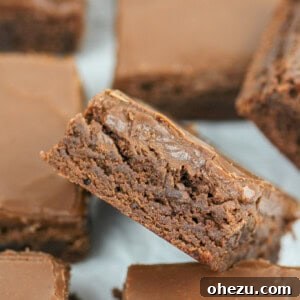 Nostalgic School Brownies 6 School Cafeteria Brownies Recipe - iconic childhood dessert
