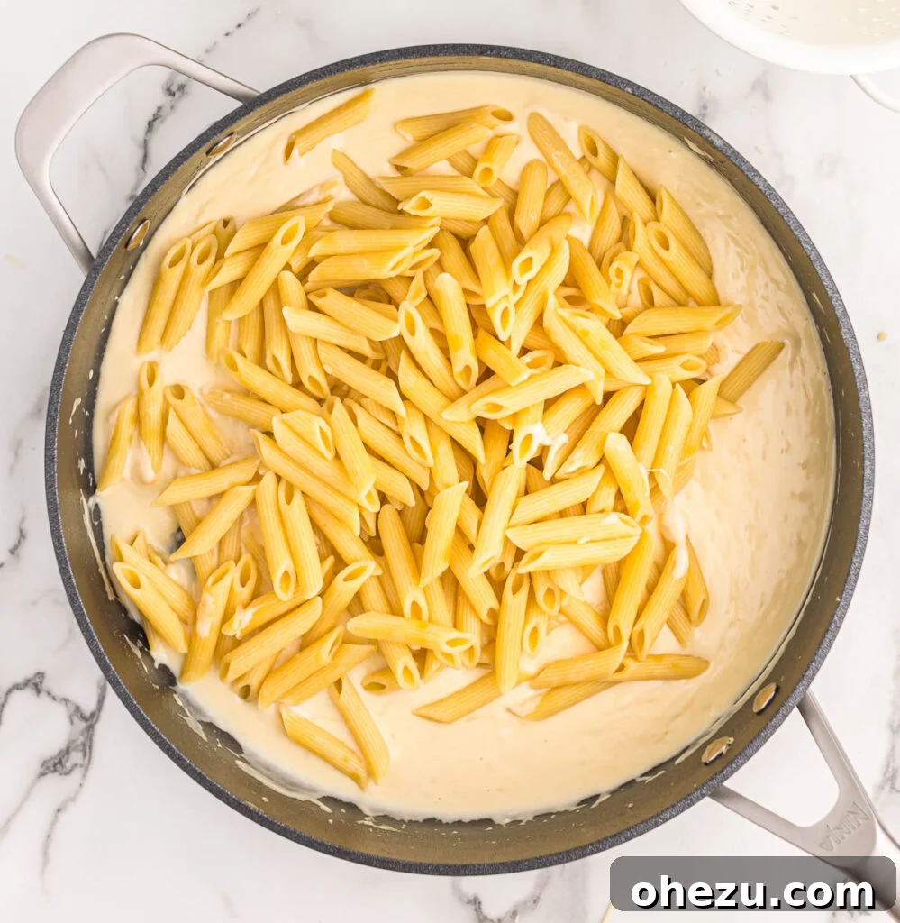 adding the penne pasta to the cream sauce