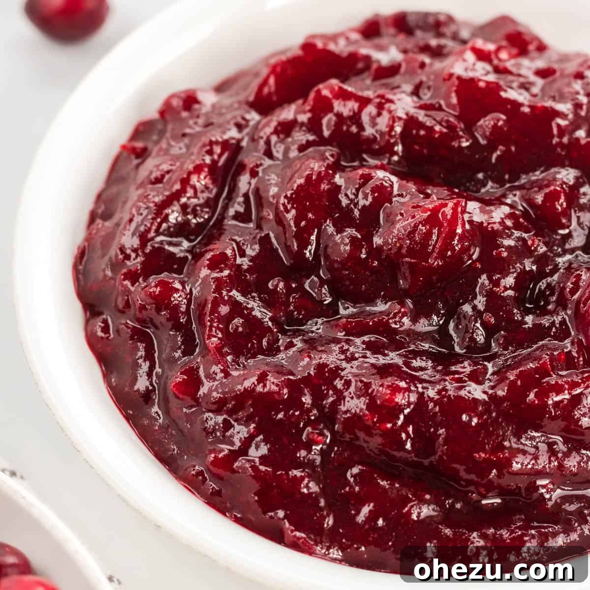 Crafted Cranberry Bliss 8 A close-up shot of the textured and glistening homemade cranberry sauce in a white serving bowl, ready for a holiday meal.