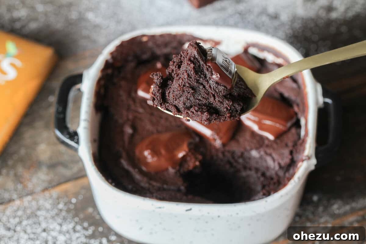 Protein-Packed Keto Chocolate Mug Cake 4 High Protein Keto Friendly Chocolate Mug Cake