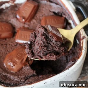 Protein-Packed Keto Chocolate Mug Cake 9 High Protein Keto Friendly Chocolate Mug Cake