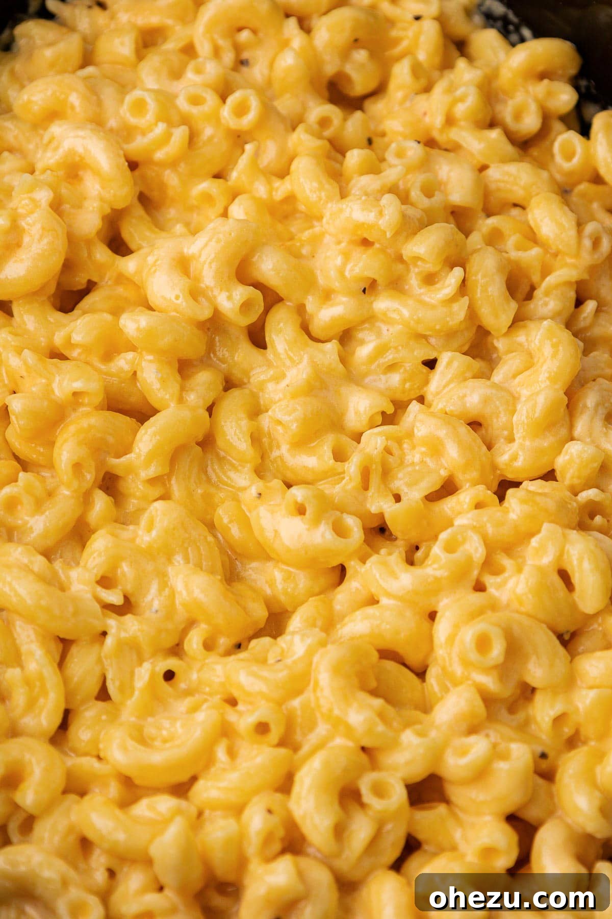 Creamy Slow Cooker Mac and Cheese 11 A generous serving of creamy mac and cheese in a bowl, highlighted by a fork taking a bite.