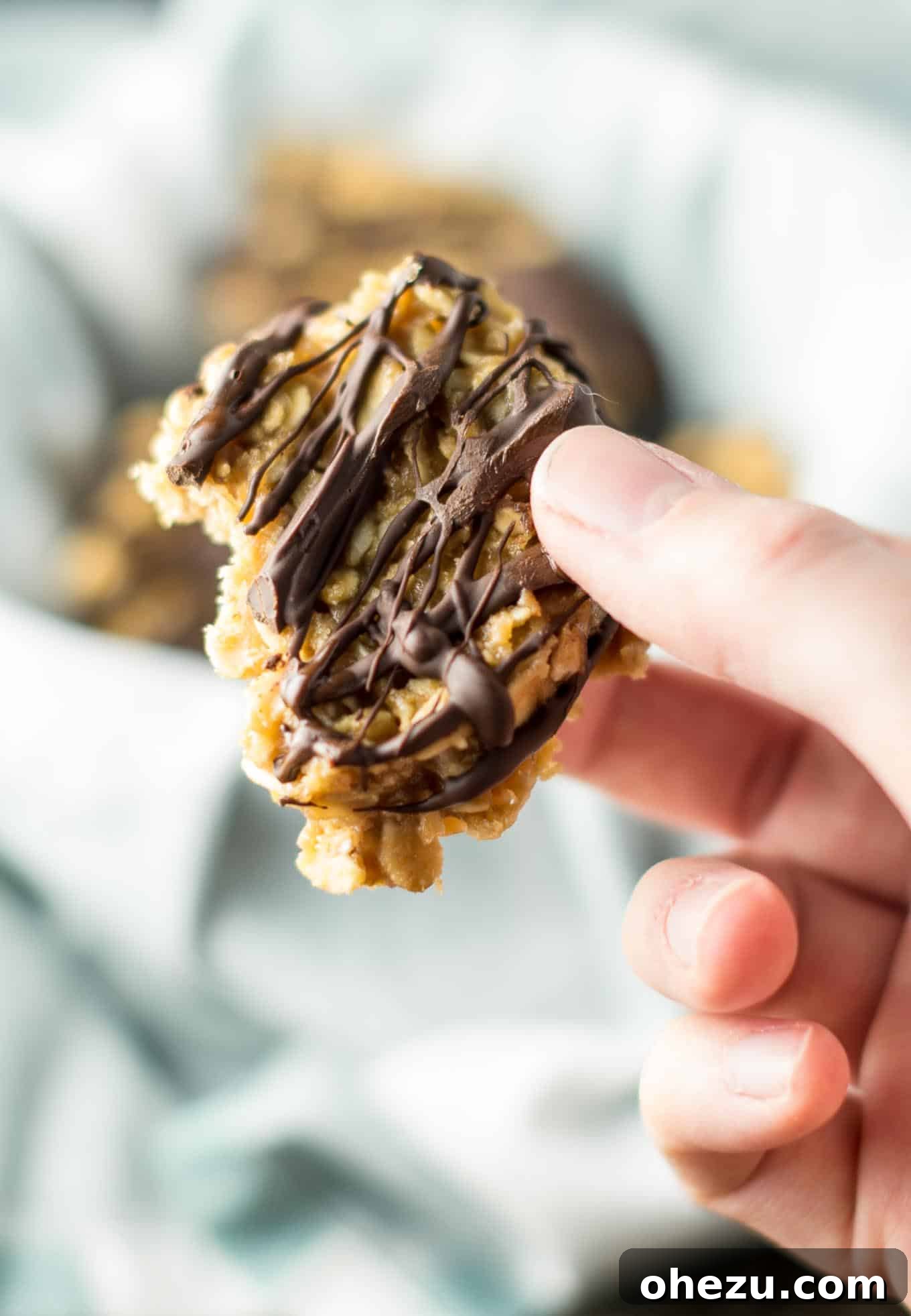 Wholesome Peanut Butter No-Bake Treats 6 An overhead shot highlighting the beautiful presentation and tempting details of healthy peanut butter no bake cookies