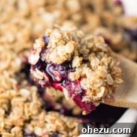 Golden Vegan Peach & Blueberry Crisp 6 Vegan Blueberry Peach Crisp Recipe
