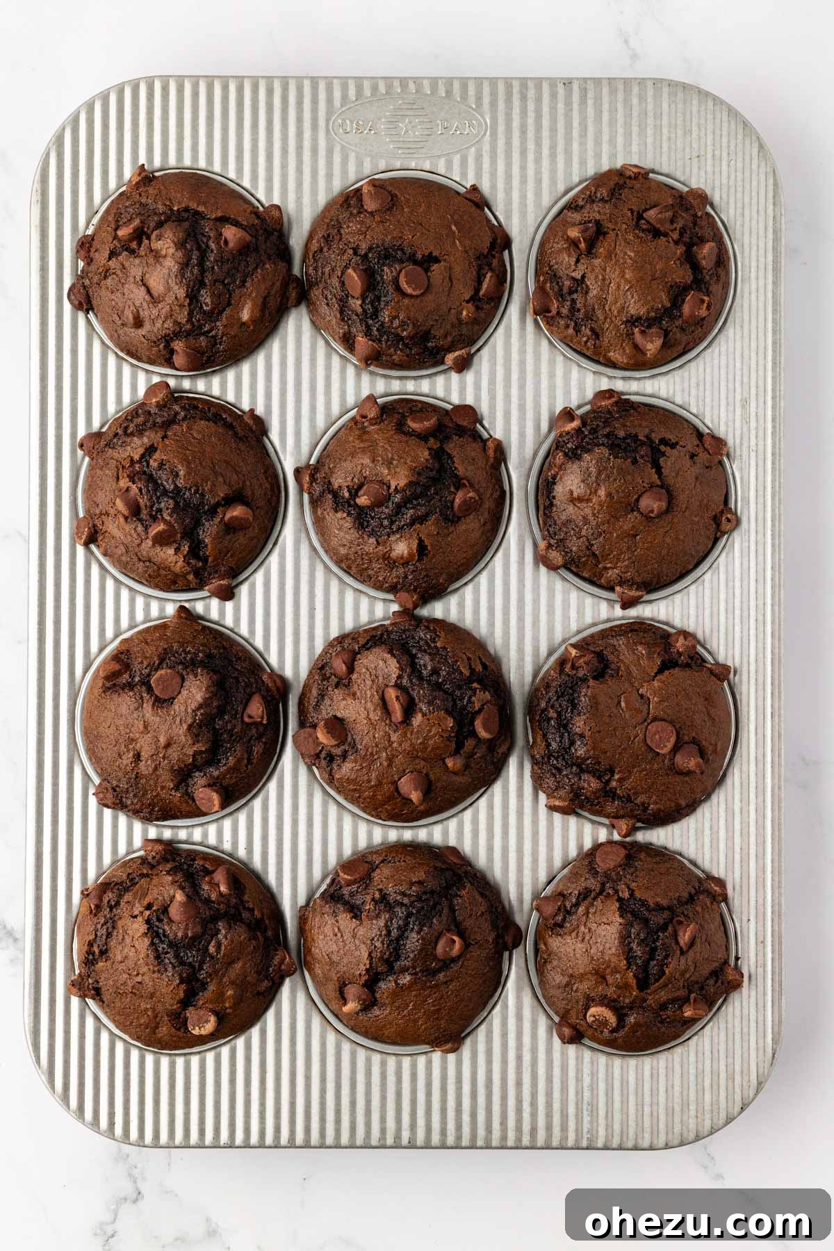Freshly baked double chocolate muffins cooling in the muffin tin, displaying beautiful domed tops.