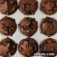 Warm double chocolate muffins cooling in a muffin tin, garnished with extra chocolate chips.