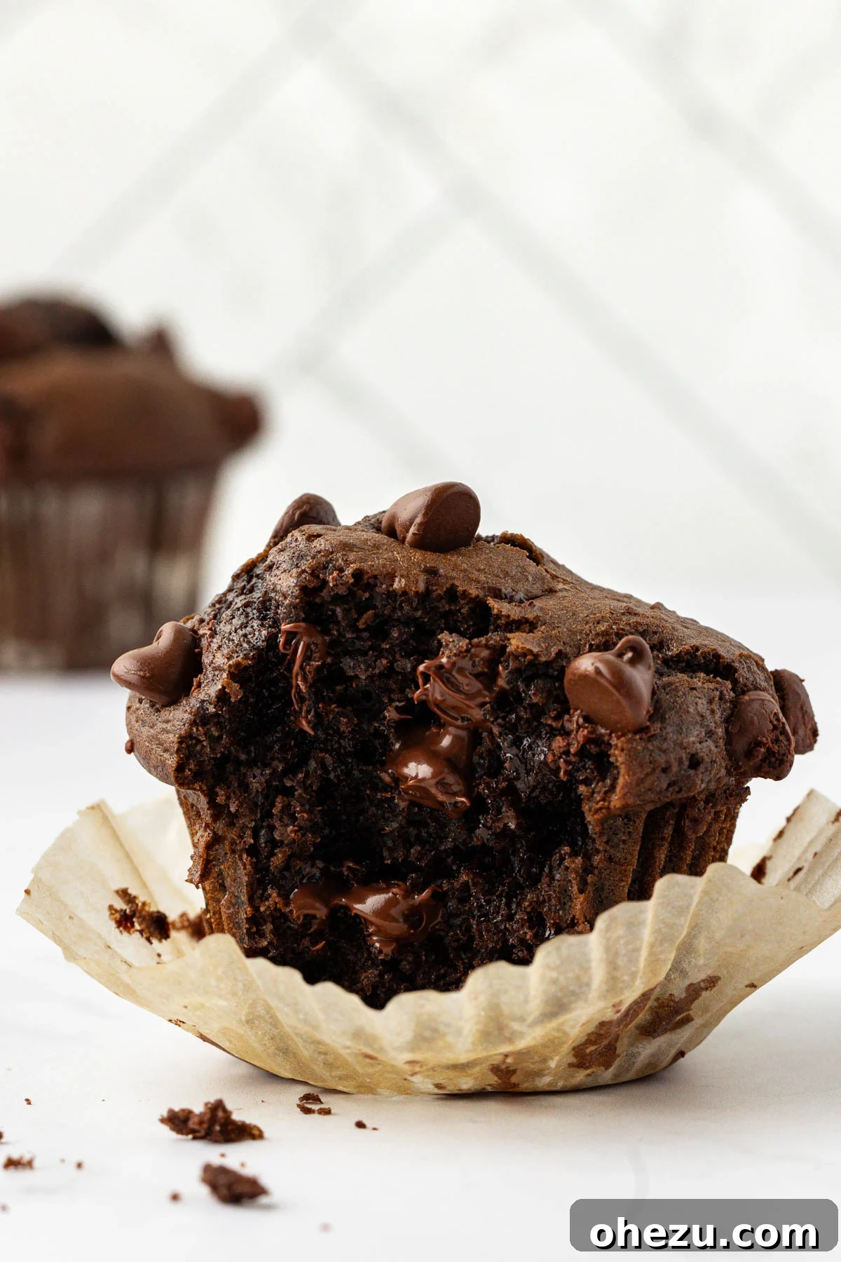 A perfectly baked double chocolate muffin with a bite taken out, revealing its moist, fudgy interior and chocolate chips.