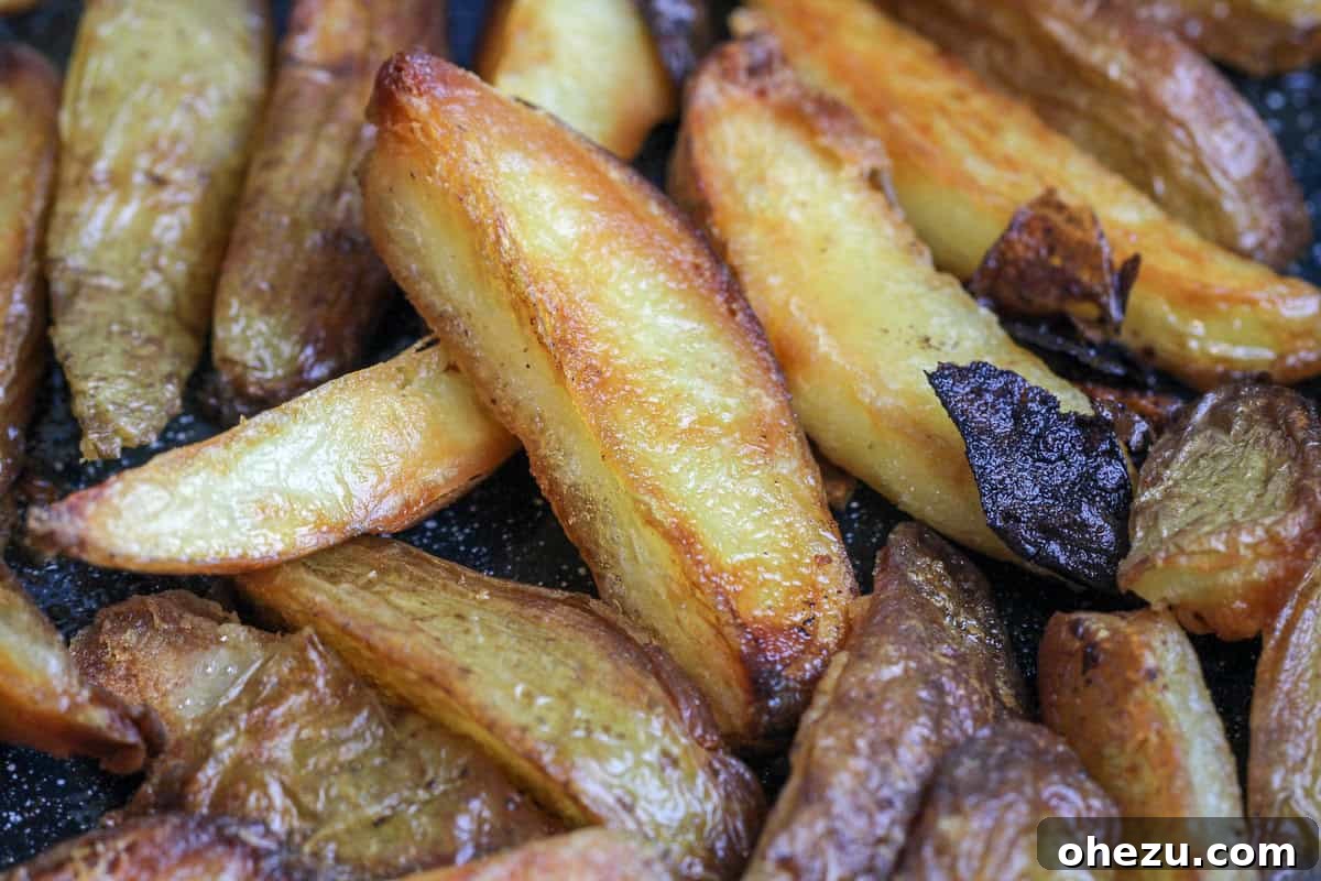 Crispy Baked Oven Fries served with a side of Malt Vinegar Ketchup