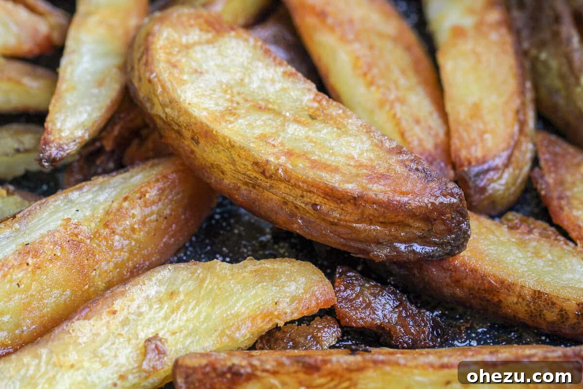 A basket of hot, crispy baked oven fries with a serving of Malt Vinegar Ketchup