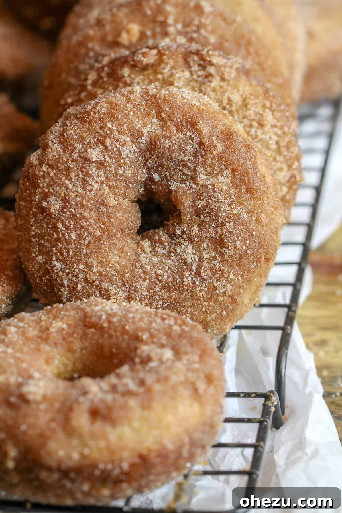 Close-up of freshly baked Caramel Apple Cider Donuts covered in cinnamon sugar, showcasing their soft texture.