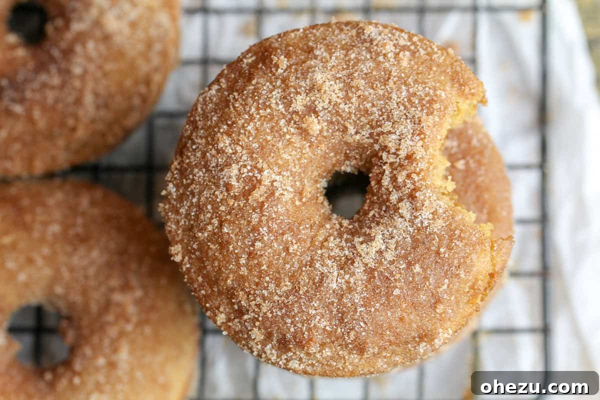 A row of baked Caramel Apple Cider Donuts waiting to be coated and filled.