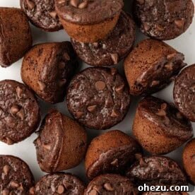 Healthy Chocolate Mini Muffins