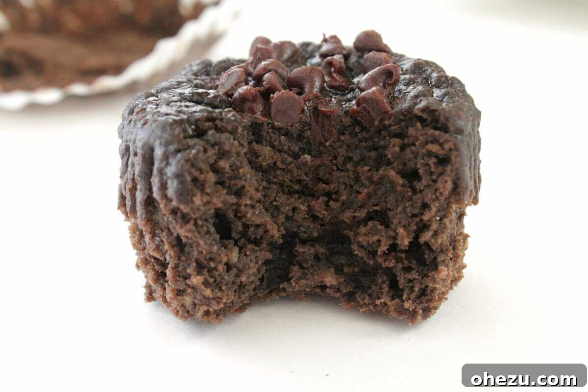 Low Carb Cocoa Banana Bliss Muffins 3 Cocoa Banana Low Carb Dessert Muffins - Ready to Bake