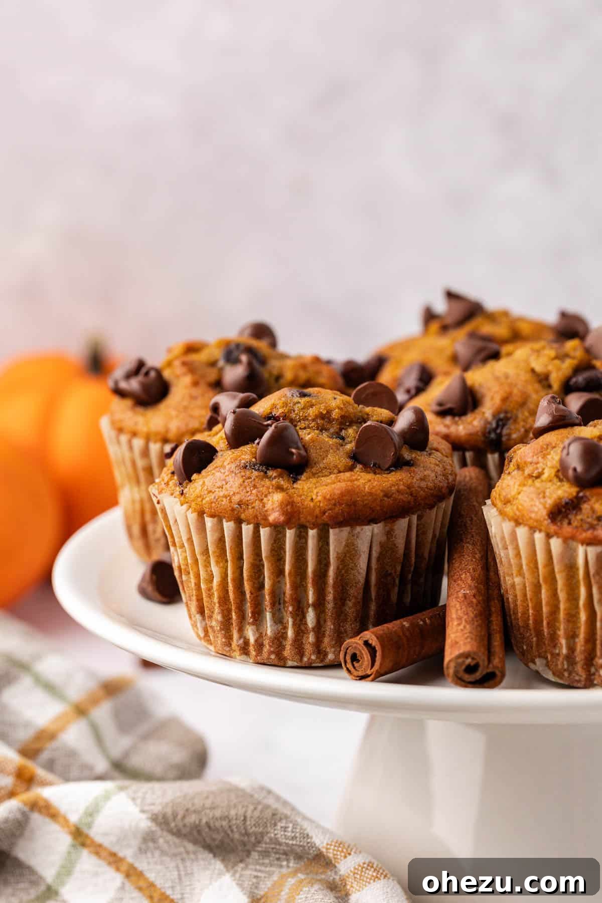 A perfectly baked pumpkin chocolate chip muffin, golden brown with visible chocolate chips, sitting on a white background, evoking the cozy feeling of fall baking.