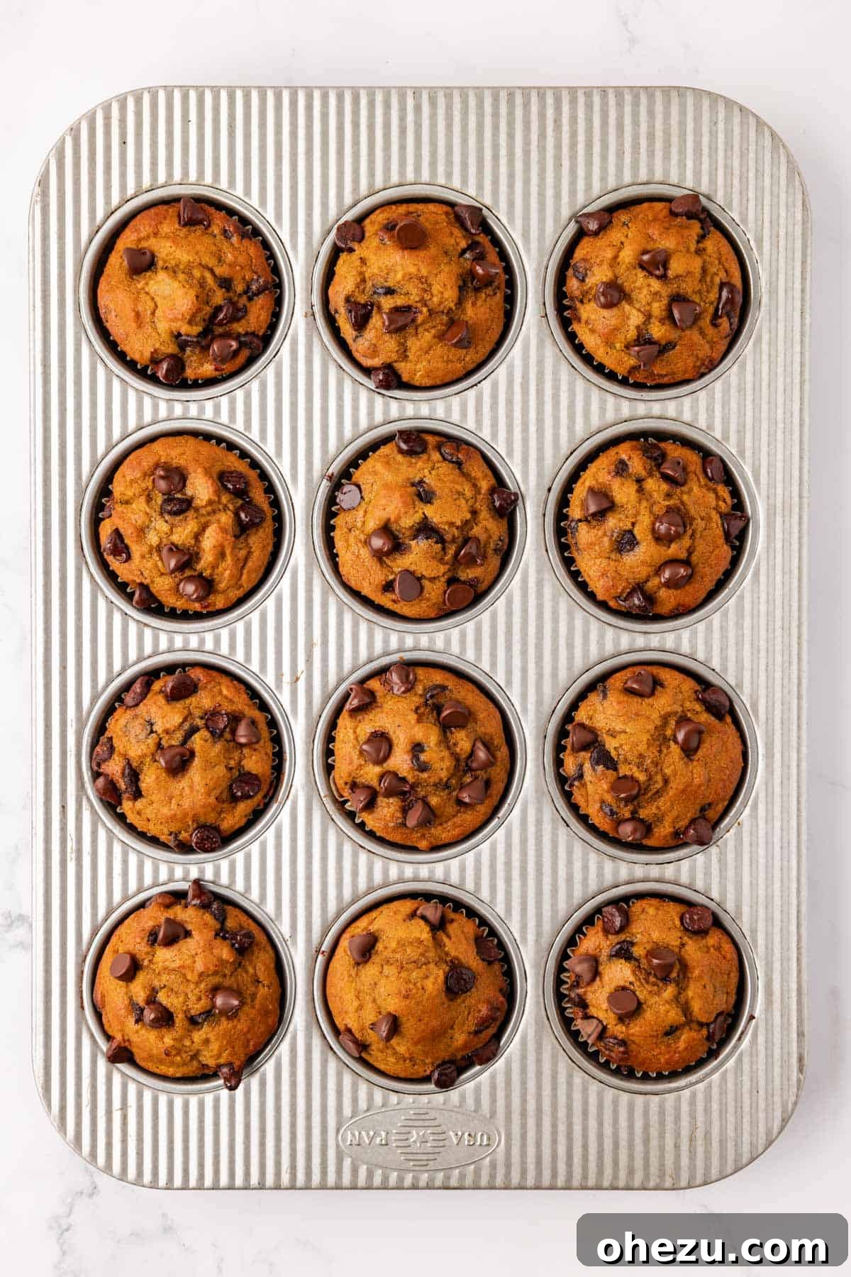 A freshly baked batch of pumpkin chocolate chip muffins cooling in the muffin tin, with perfectly domed tops and melted chocolate chips.