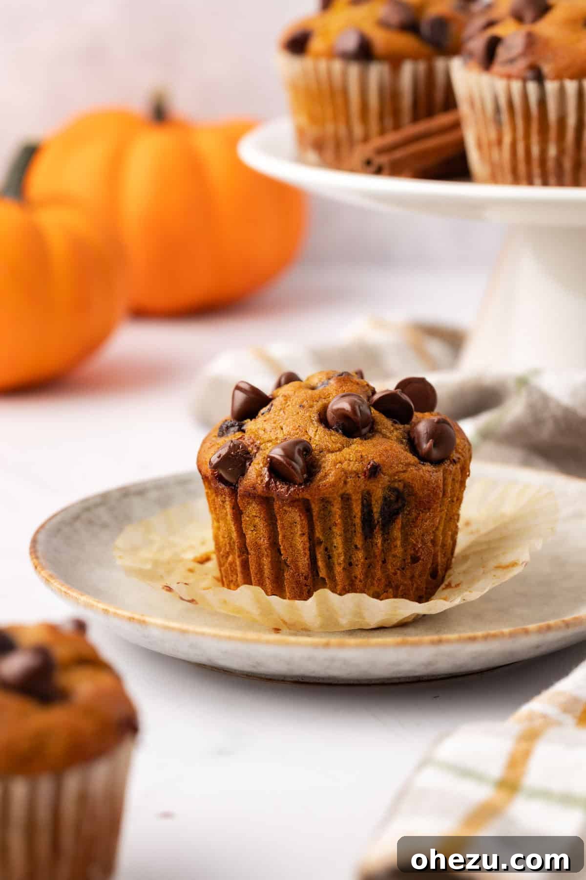 A single, delectable pumpkin chocolate chip muffin presented on a simple white plate, ready to be enjoyed as a delightful fall treat.