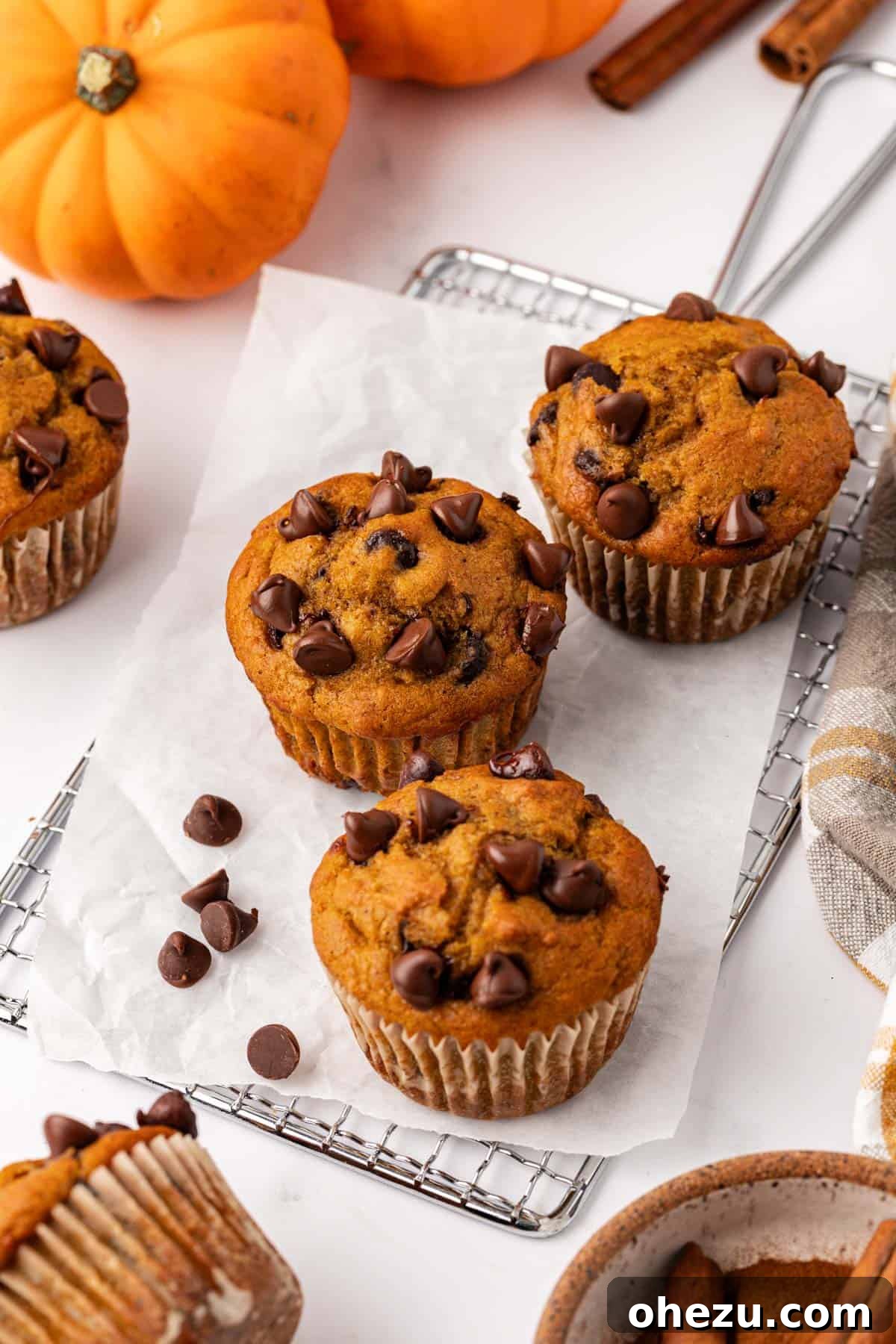 A collection of freshly baked pumpkin chocolate chip muffins artfully arranged, highlighting their golden tops and tempting chocolate inclusions.
