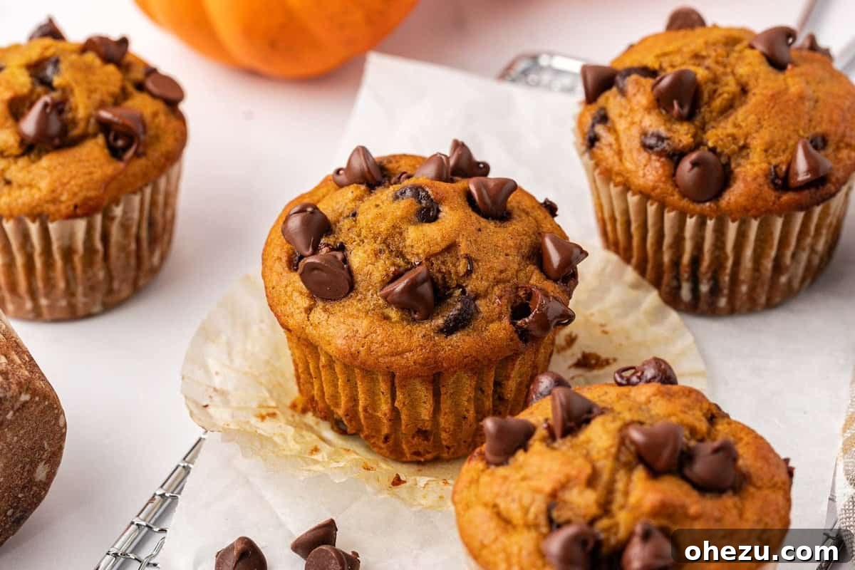 A captivating overhead shot of a batch of freshly baked pumpkin chocolate chip muffins, perfectly arranged and ready to be enjoyed.