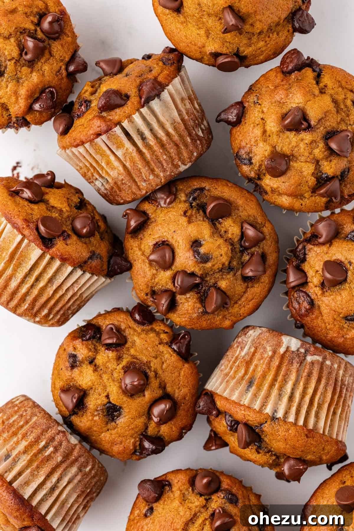 Two soft and fluffy pumpkin chocolate chip muffins stacked on a plate, showcasing their inviting texture and rich autumnal color.