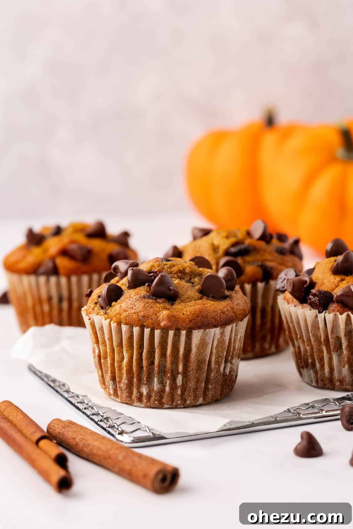 A vibrant display of freshly baked pumpkin chocolate chip muffins, highlighting their appetizing textures and rich fall colors, perfect for a blog post footer.