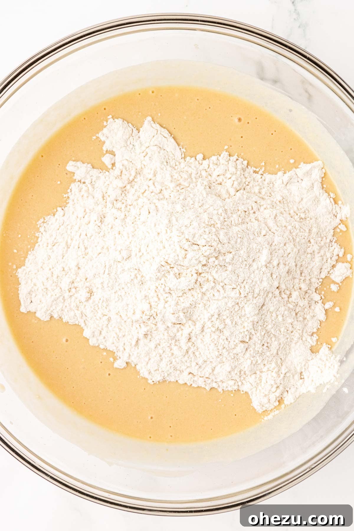Tangy Greek Yogurt Treat Cake 11 Dry ingredients being added to the wet ingredients in a mixing bowl