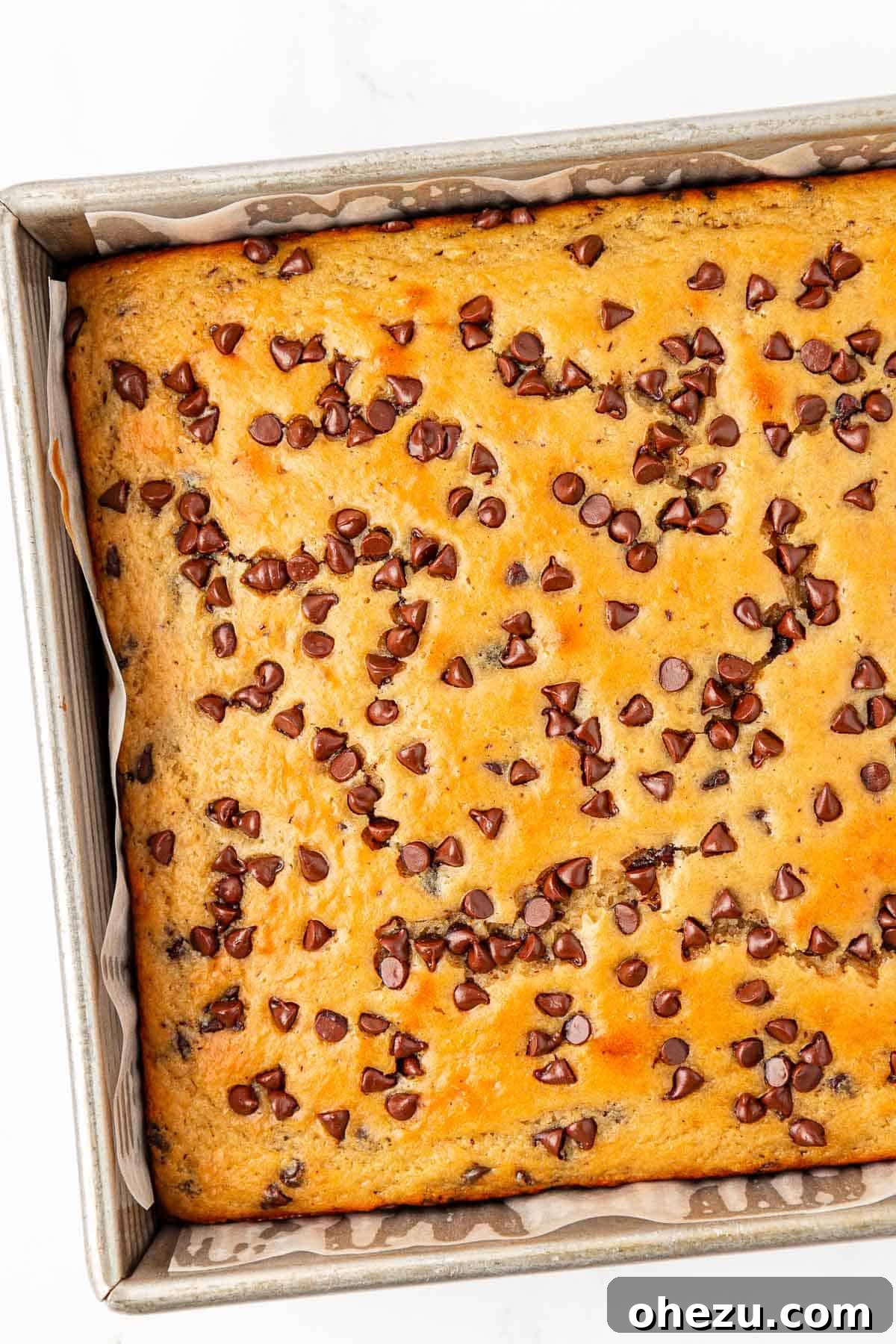Tangy Greek Yogurt Treat Cake 16 Unbaked Greek Yogurt Snack Cake batter topped with extra mini chocolate chips, ready to bake