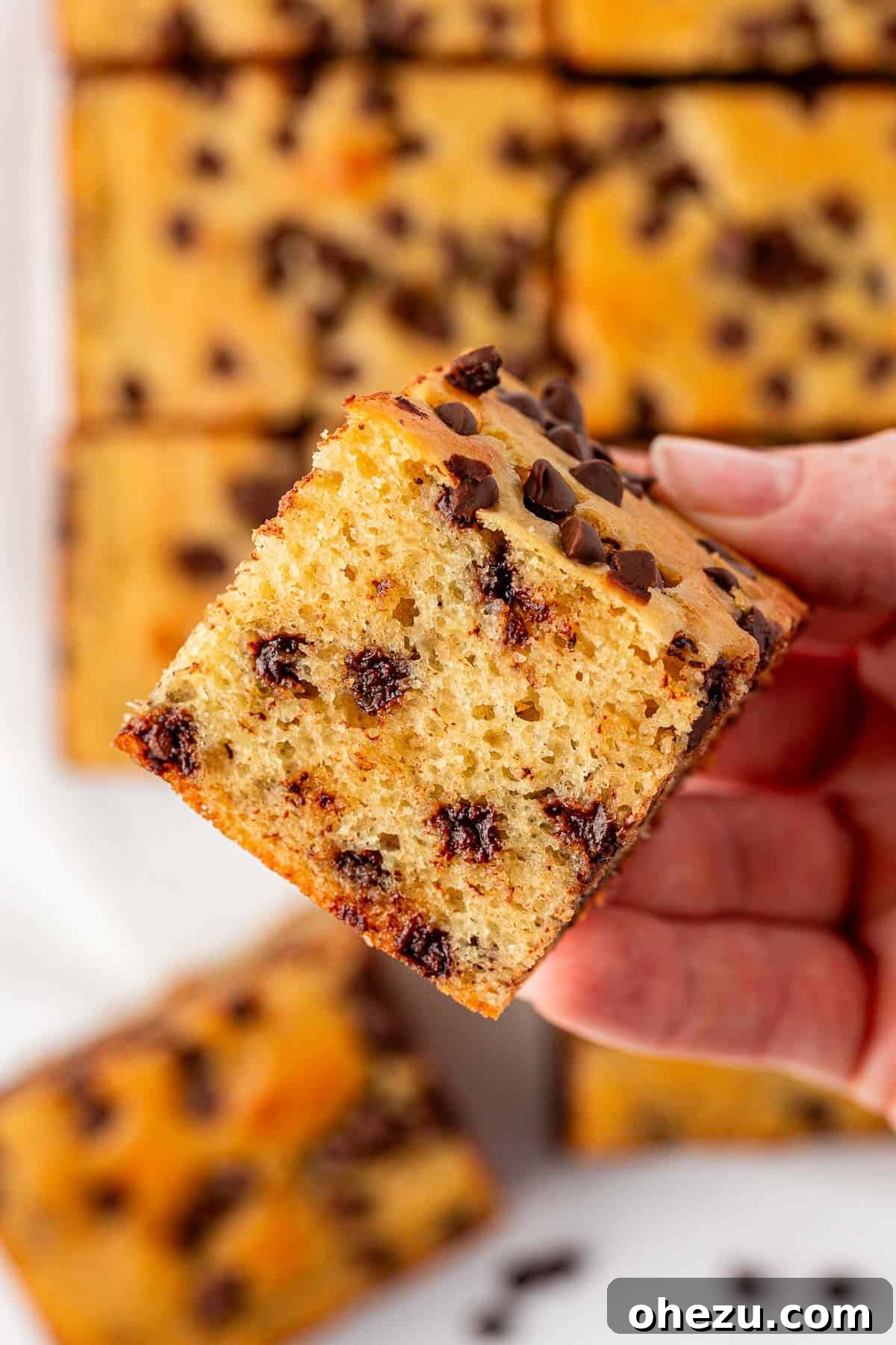 Tangy Greek Yogurt Treat Cake 20 Close-up of a square of Greek Yogurt Snack Cake, showcasing its moist texture and chocolate chips