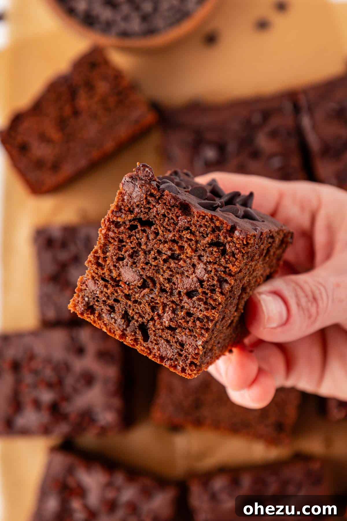 Close-up of a slice of chocolate snack cake with mini chocolate chips