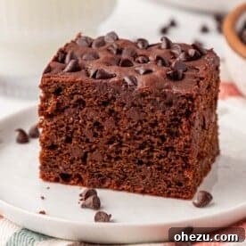 chocolate snack cake