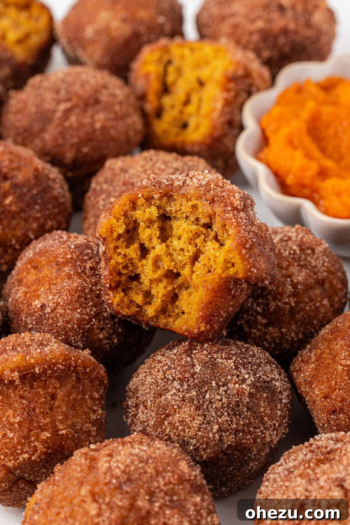 Spiced Pumpkin Donut Bites 2 Delicious pumpkin donut mini muffins coated in cinnamon sugar, ready to be enjoyed
