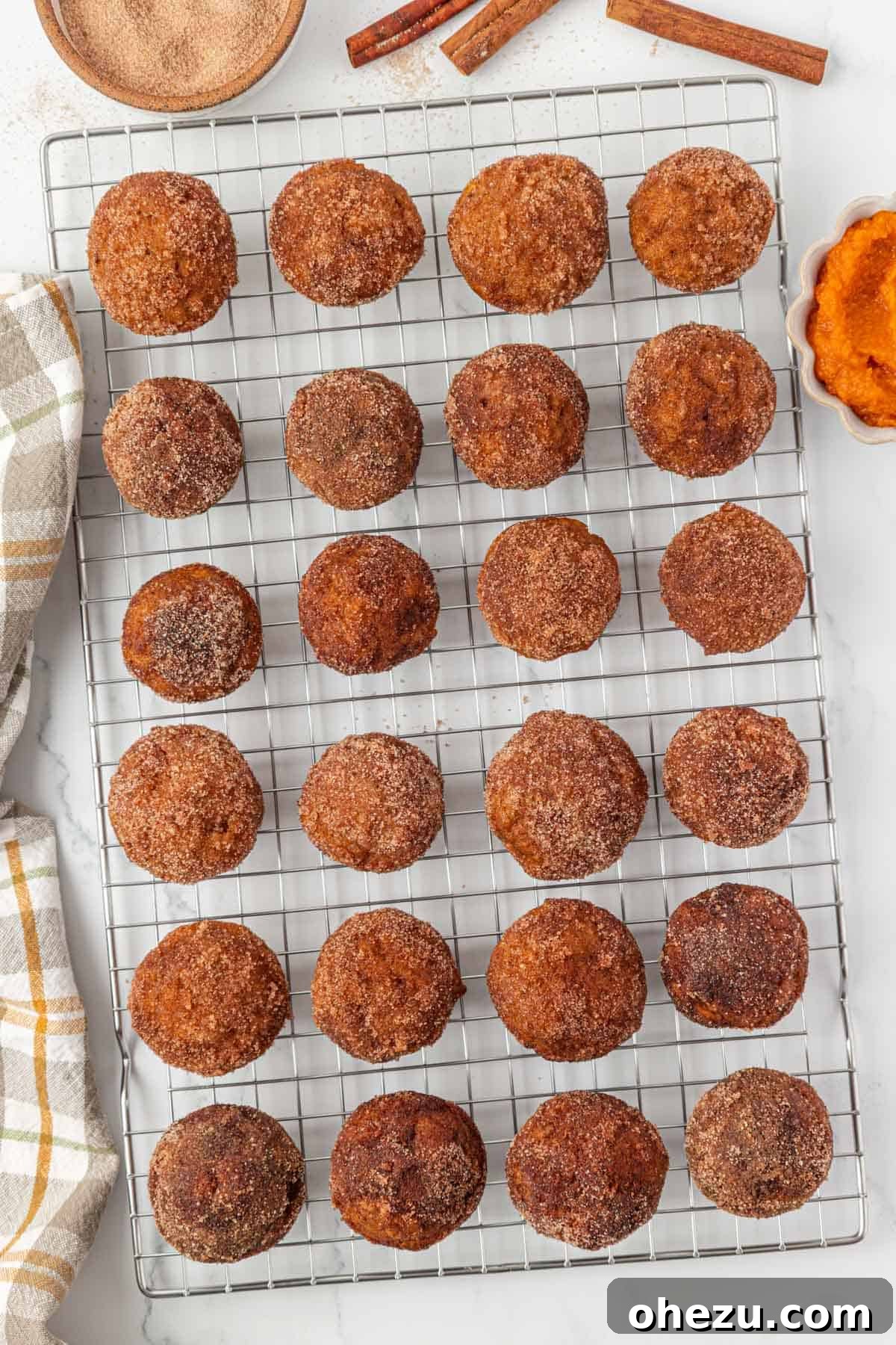 Spiced Pumpkin Donut Bites 16 A close-up shot of a plate of fully coated pumpkin donut mini muffins