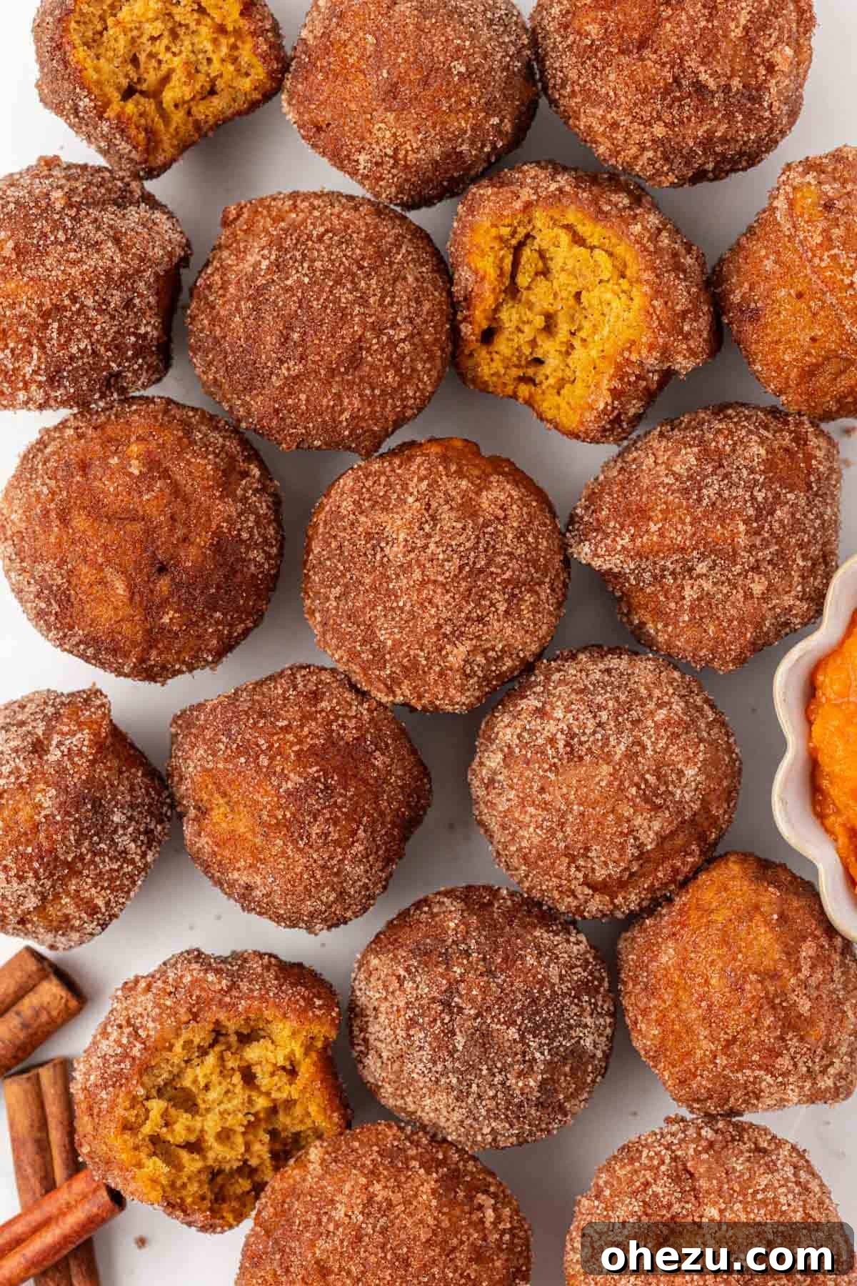 Spiced Pumpkin Donut Bites 17 A handful of perfectly coated pumpkin donut mini muffins ready to eat