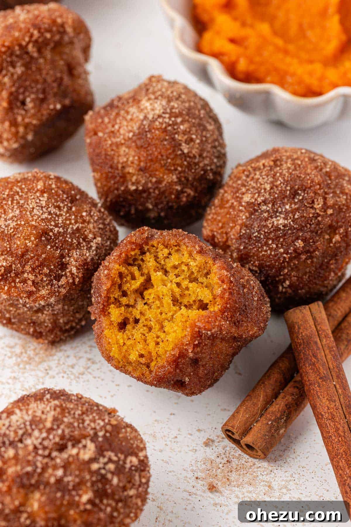Spiced Pumpkin Donut Bites 18 An overhead shot of several pumpkin donut mini muffins on a white plate