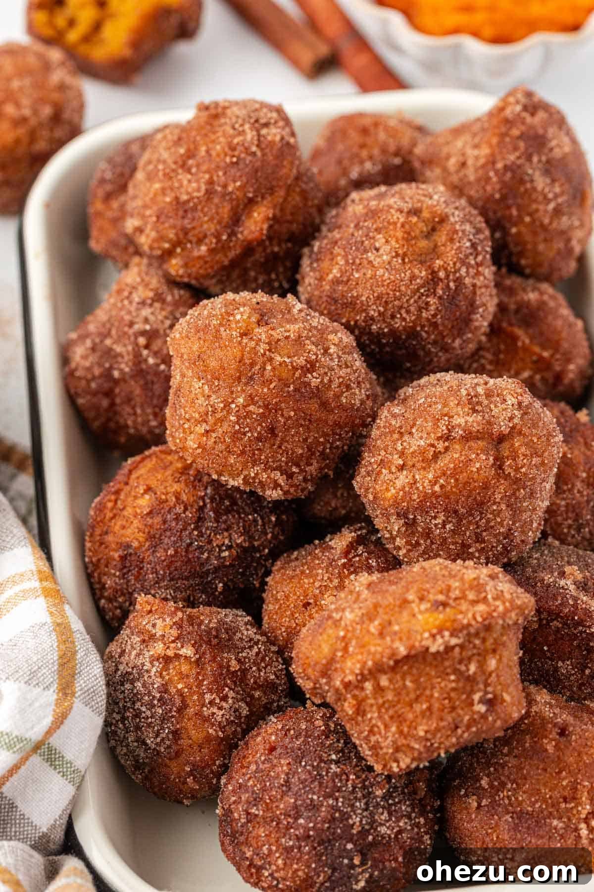 Spiced Pumpkin Donut Bites 20 Close-up of a single pumpkin donut mini muffin with a dusting of cinnamon sugar
