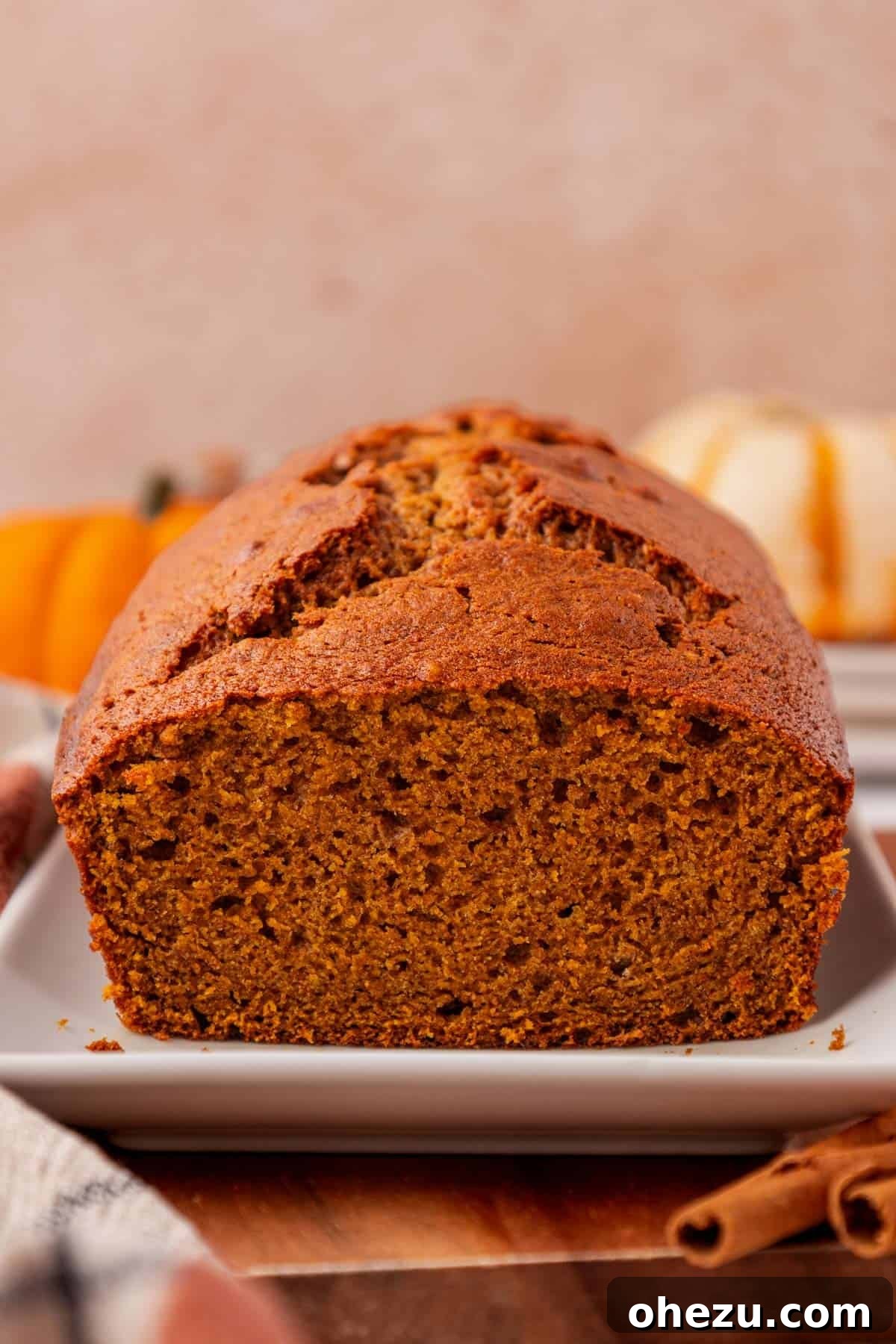 a freshly baked pumpkin bread, still in its loaf pan, cooling