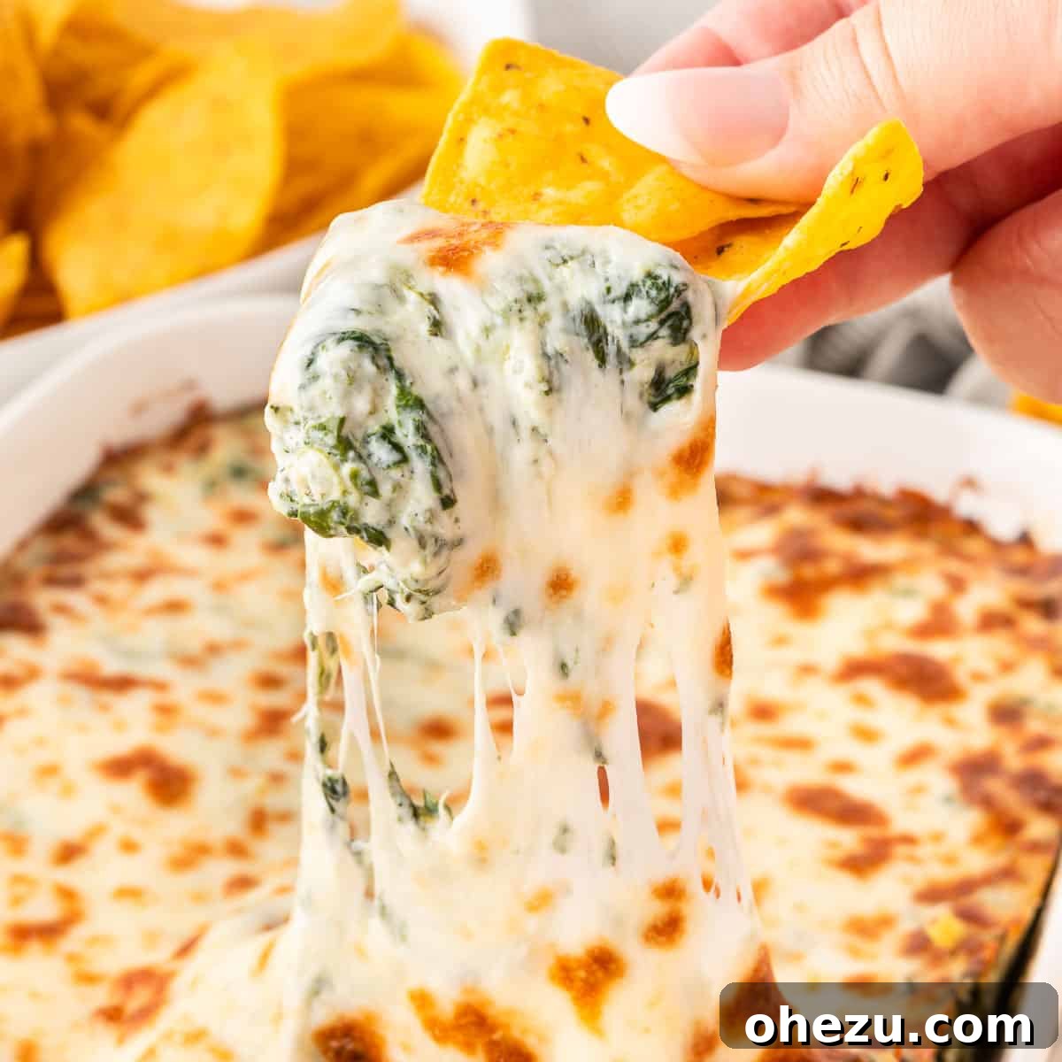 Close-up of a hand dipping a tortilla chip into a creamy, baked spinach dip, showing the rich, cheesy texture.