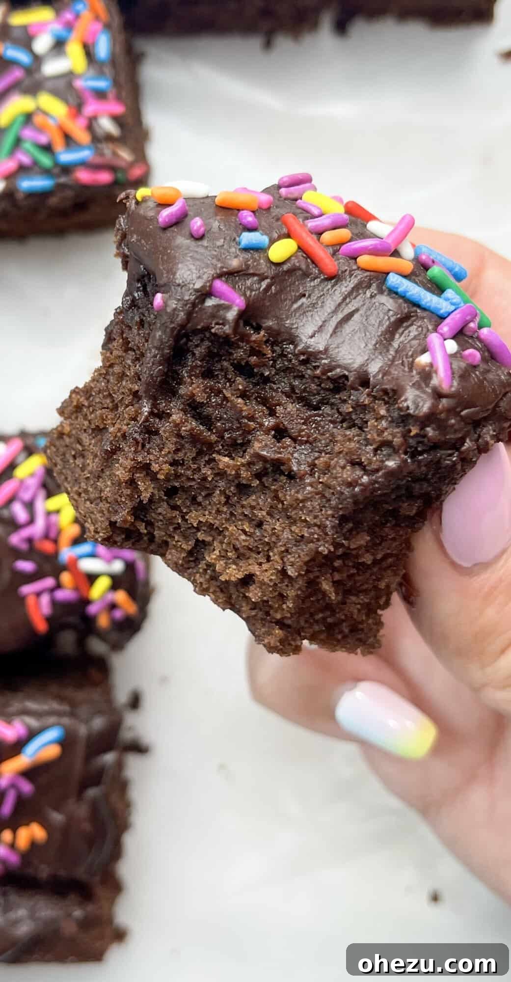 Decadent Chocolate Donut Cakelets 2 Vibrant Chocolate Donut-Frosted Cake Bites covered in colorful sprinkles, arranged beautifully on a plate.