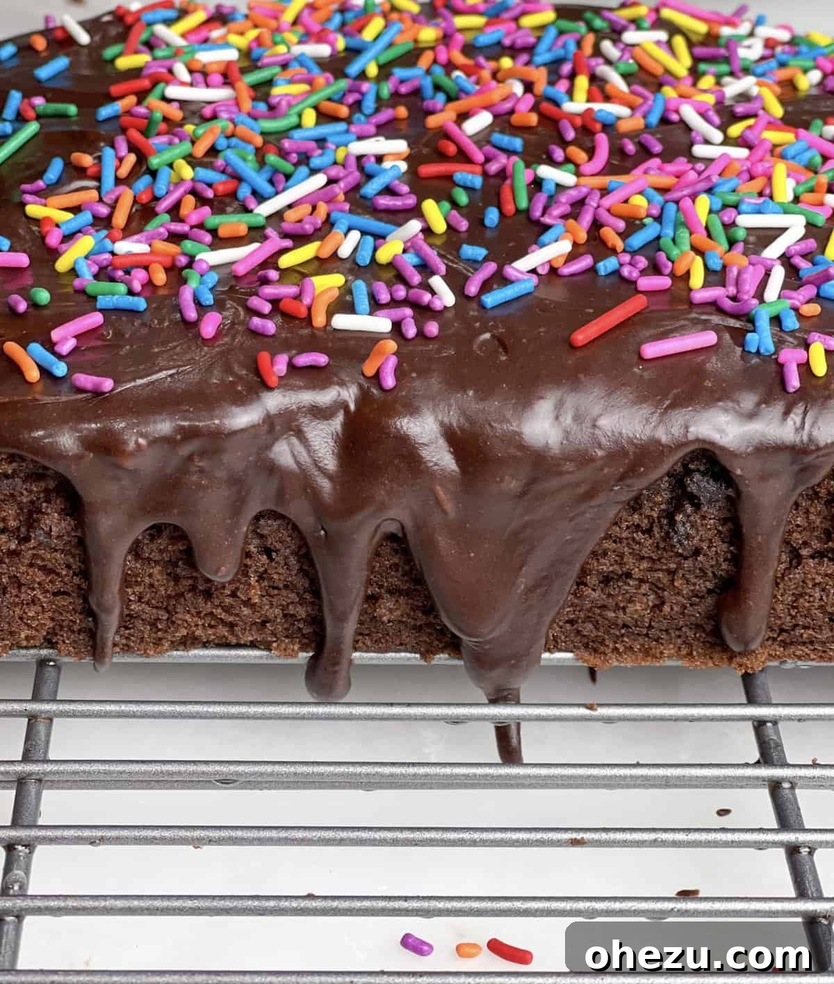 Decadent Chocolate Donut Cakelets 3 Overhead shot of freshly baked Chocolate Donut-Frosted Cake Bites, showcasing their perfect glaze and sprinkle topping.