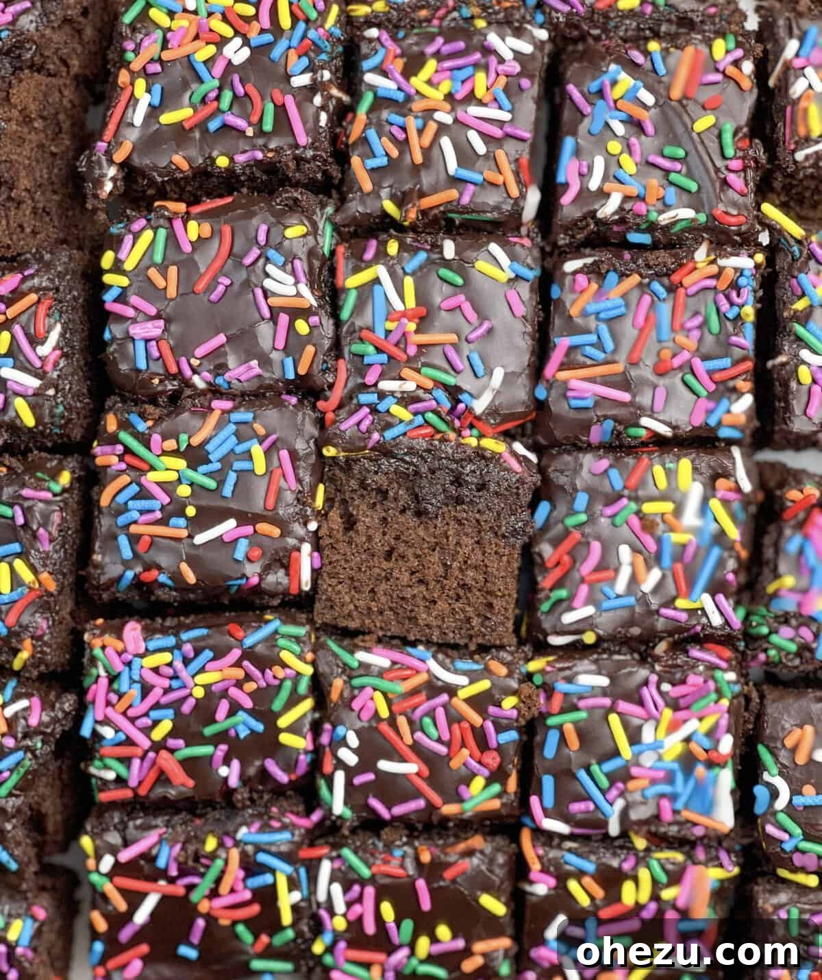 Decadent Chocolate Donut Cakelets 4 A close-up of a single Chocolate Donut-Frosted Cake Bite, showing its moist interior and thick chocolate glaze with colorful sprinkles.