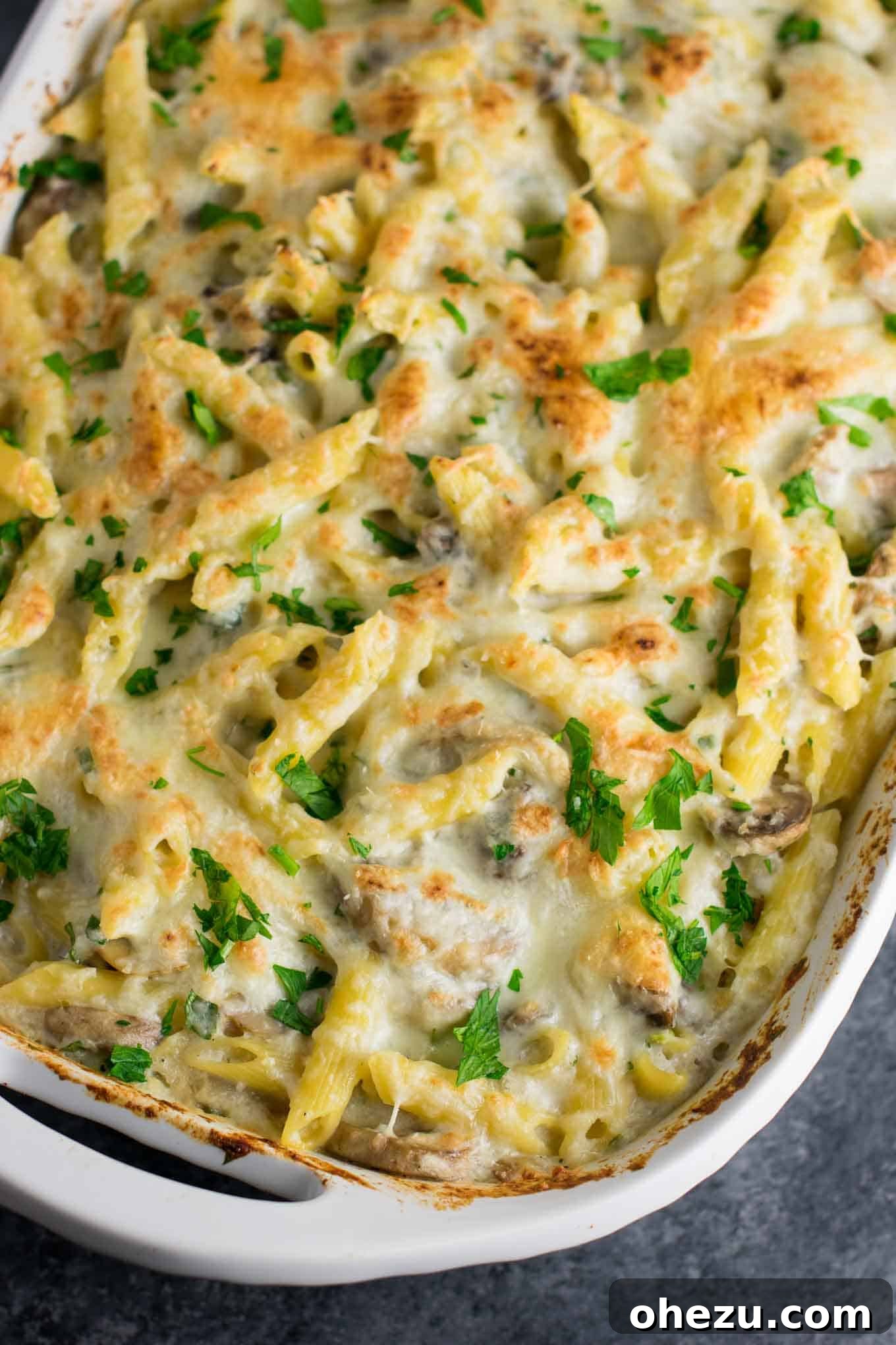 Creamy Mushroom & Cauliflower Alfredo Pasta Bake 2 Delicious Mushroom Cauliflower Alfredo Pasta Bake in a baking dish