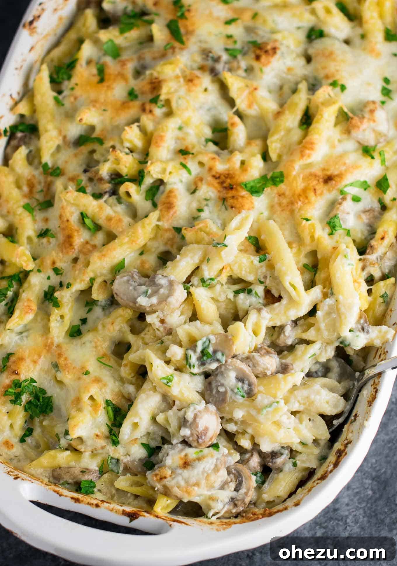 Creamy Mushroom & Cauliflower Alfredo Pasta Bake 3 Close-up of Mushroom Cauliflower Alfredo Pasta Bake with melted cheese