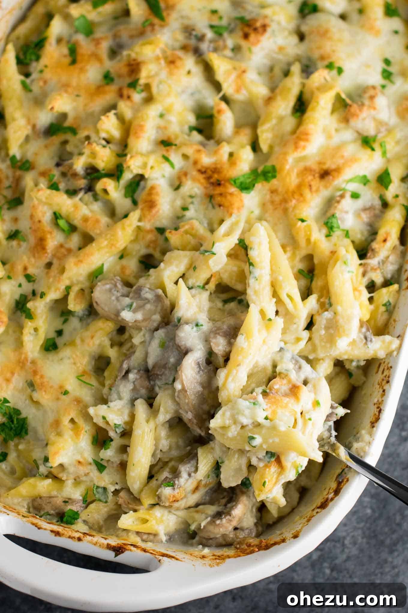 Creamy Mushroom & Cauliflower Alfredo Pasta Bake 4 Portion of Mushroom Cauliflower Alfredo Pasta Bake served in a dish