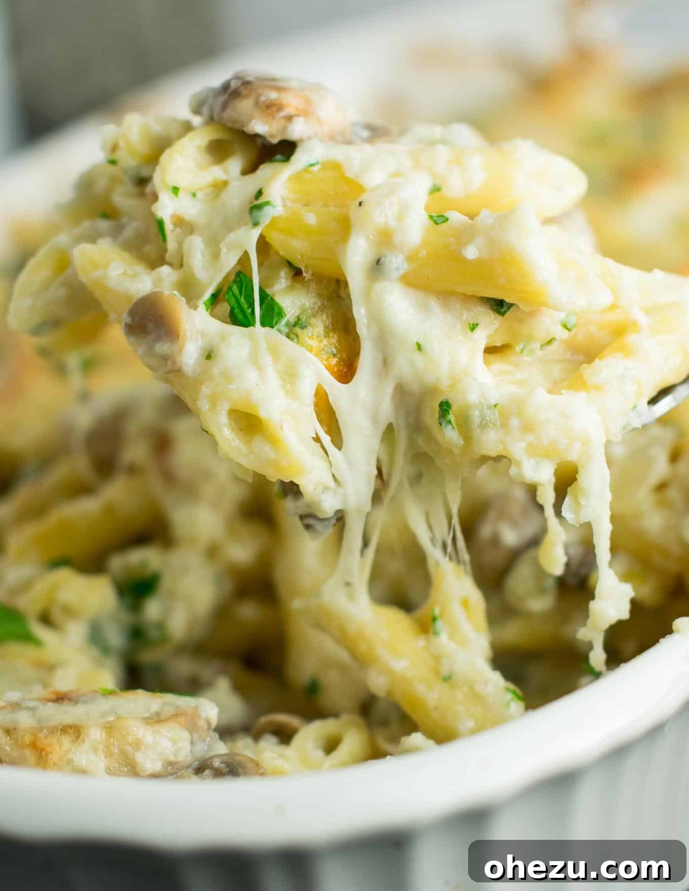 Creamy Mushroom & Cauliflower Alfredo Pasta Bake 8 A bubbling hot Mushroom Cauliflower Alfredo Pasta Bake fresh from the oven