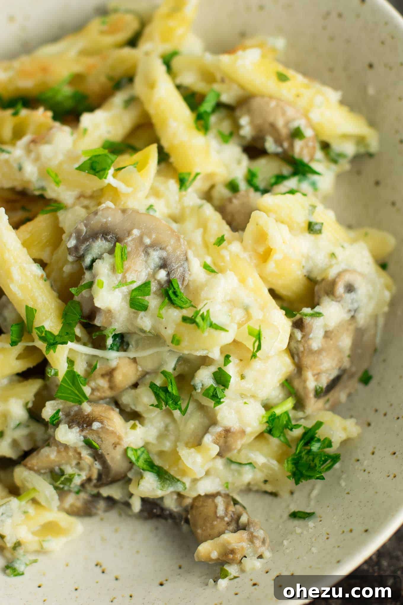 Creamy Mushroom & Cauliflower Alfredo Pasta Bake 10 A full baking dish of Mushroom Cauliflower Alfredo Pasta Bake