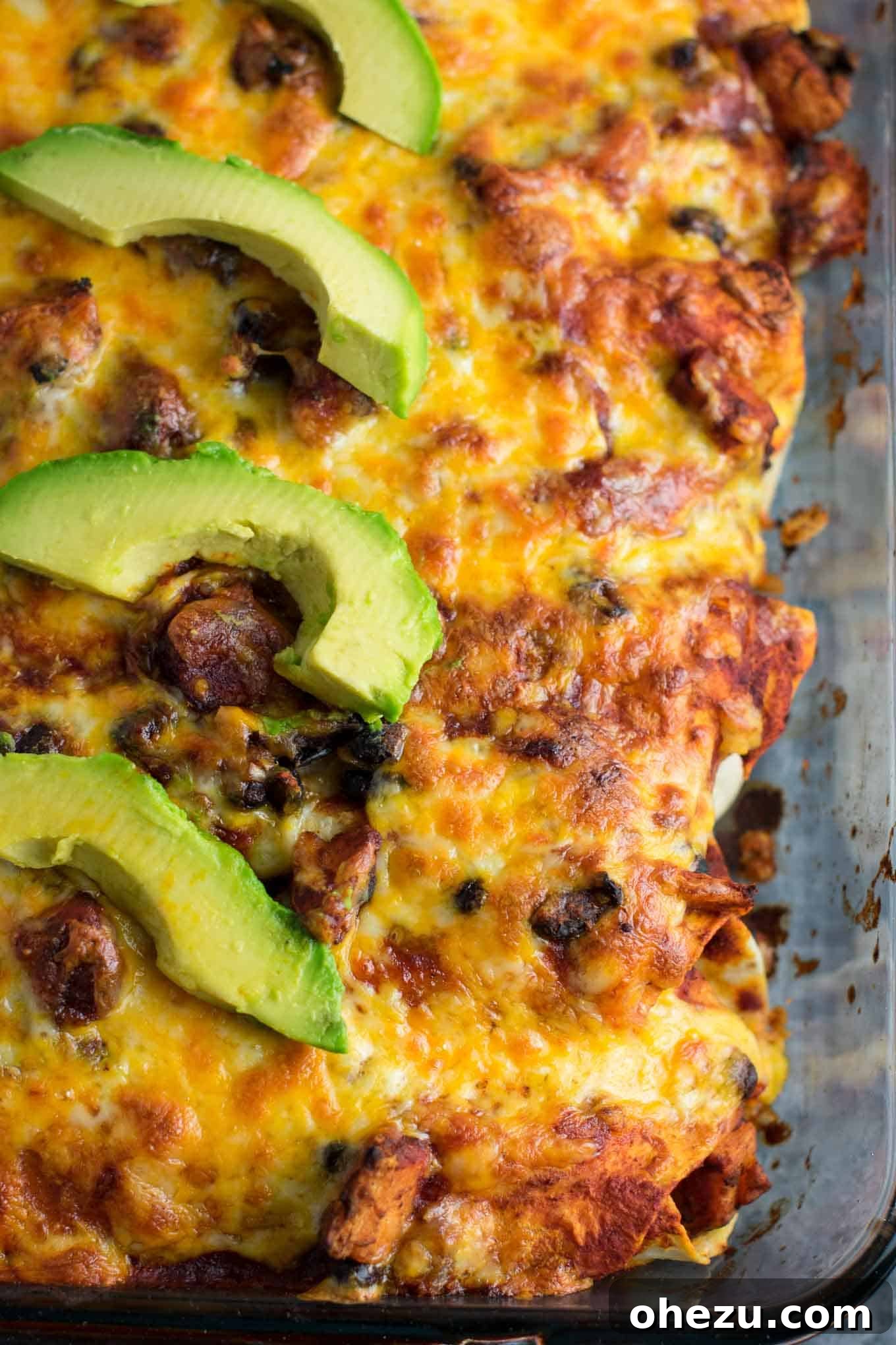A top-down view of the baking dish filled with Smoky Sweet Potato Black Bean Enchiladas, perfectly baked and ready to serve.