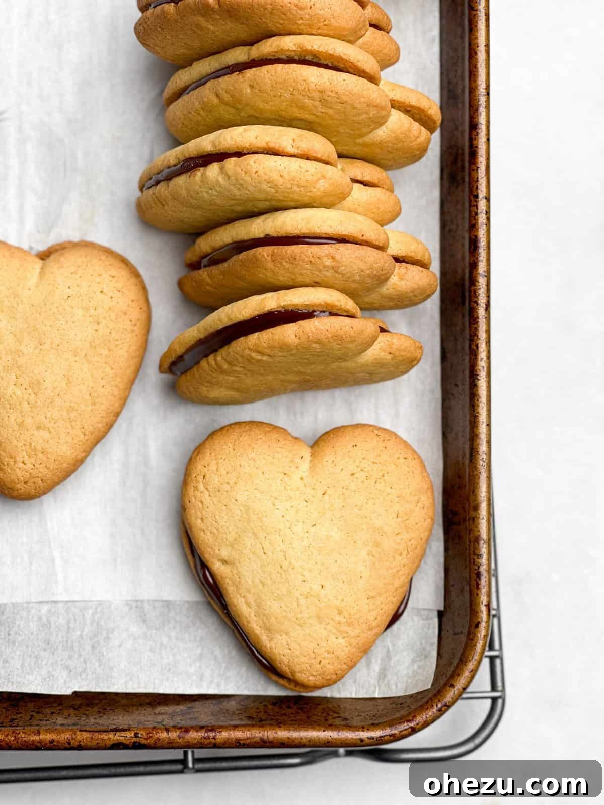 Double Dark Homemade Milano Cookies Recipe - Overview