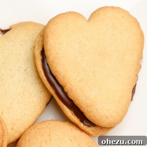 Double Dark Homemade Milano Cookies