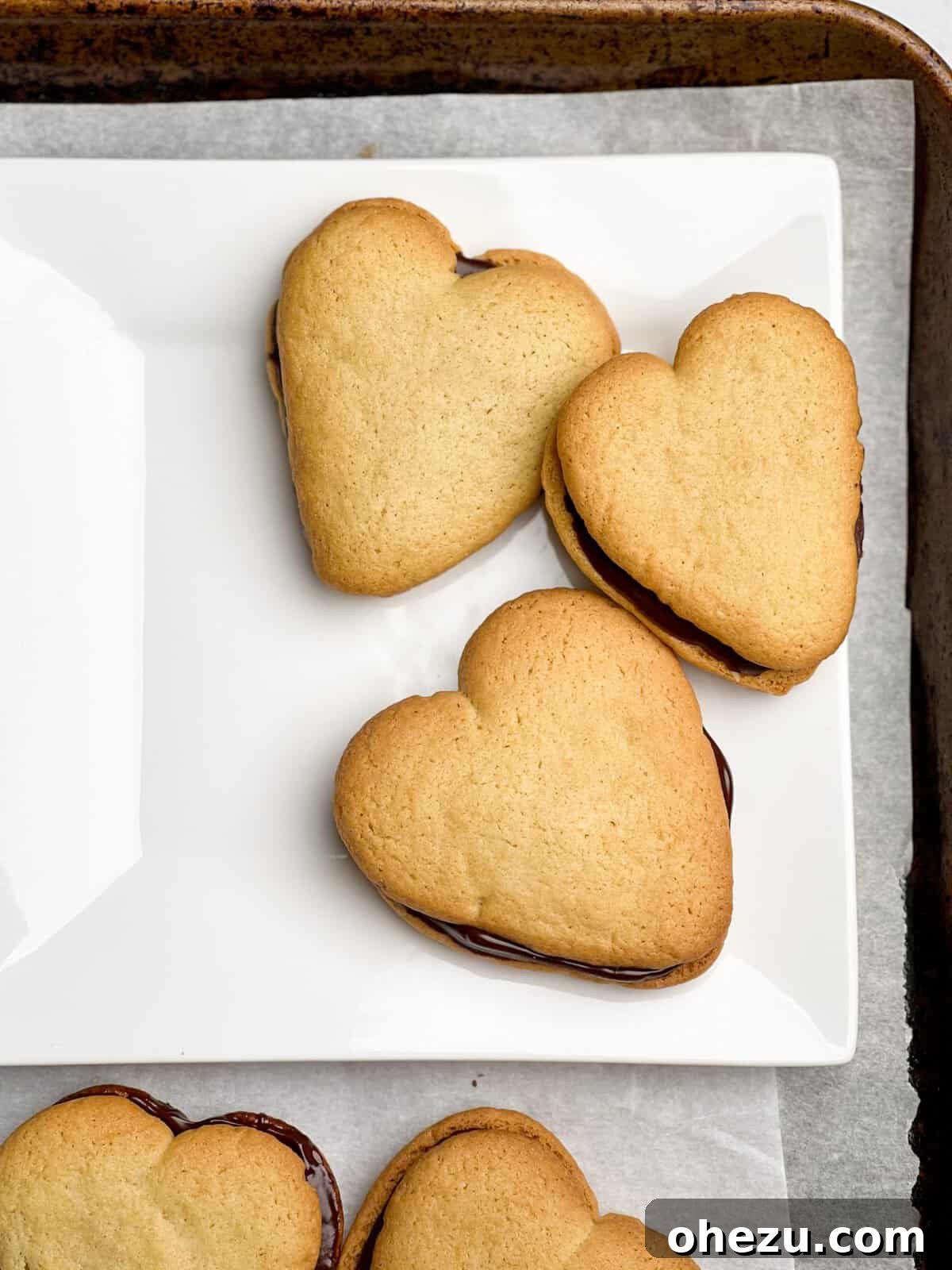 Double Dark Homemade Milano Cookie Recipe Steps