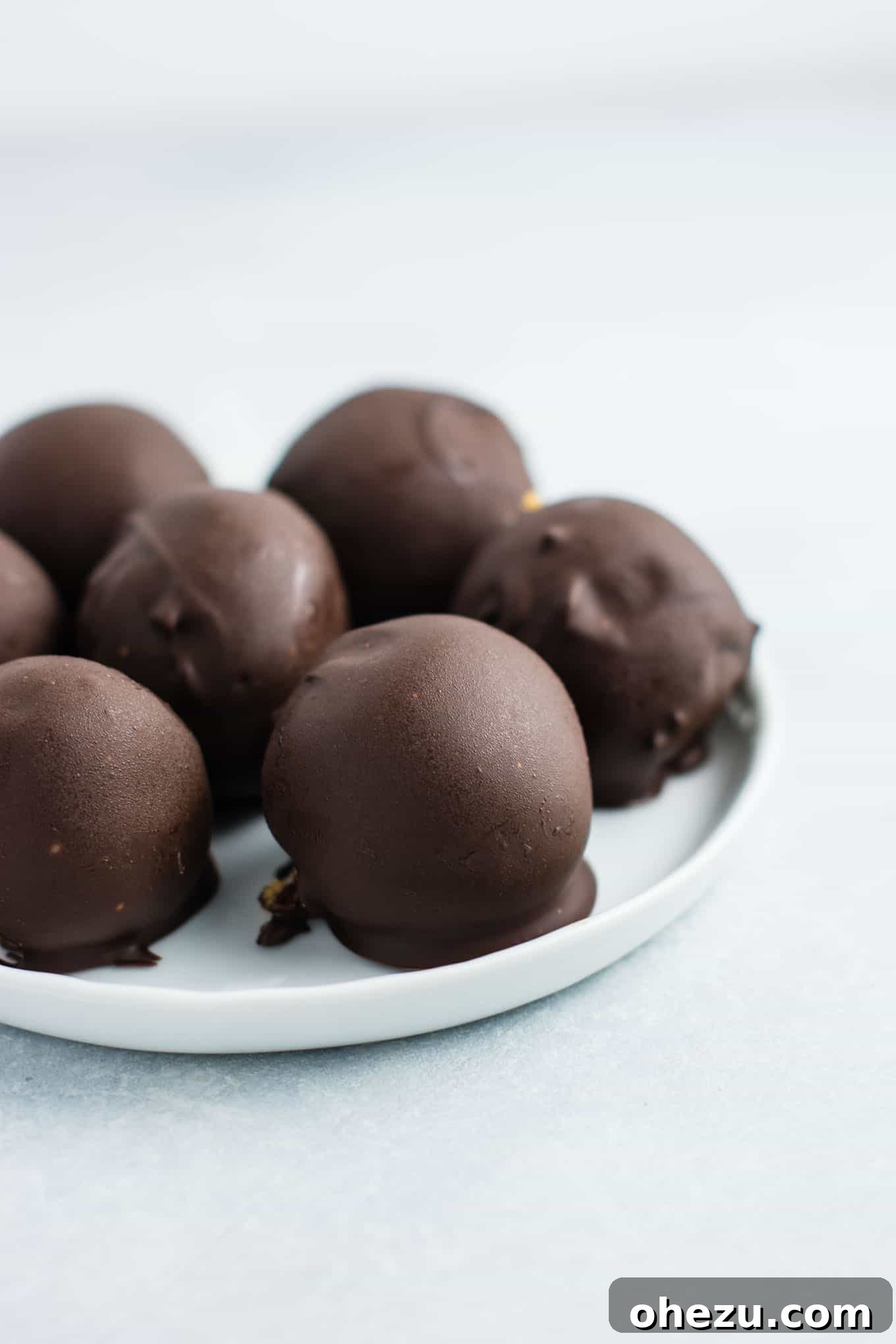 Guilt-Free No Bake Peanut Butter Bites 11 Healthy No Bake Peanut Butter Truffles recipe made with all vegan and gluten free ingredients. A healthier alternative without sacrificing flavor! NO ONE will guess this is a healthy recipe! #vegan #glutenfree #peanutbutter #nobake #dessert